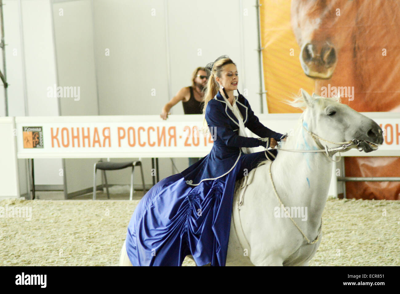 Riding hall International Horse Show. Woman jockey in blue dress Female rider on a white horse. Stock Photo