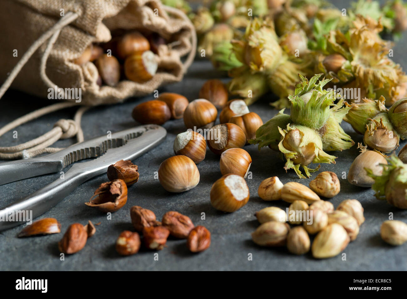 A selection of wild British foraged nuts, including cobnuts and