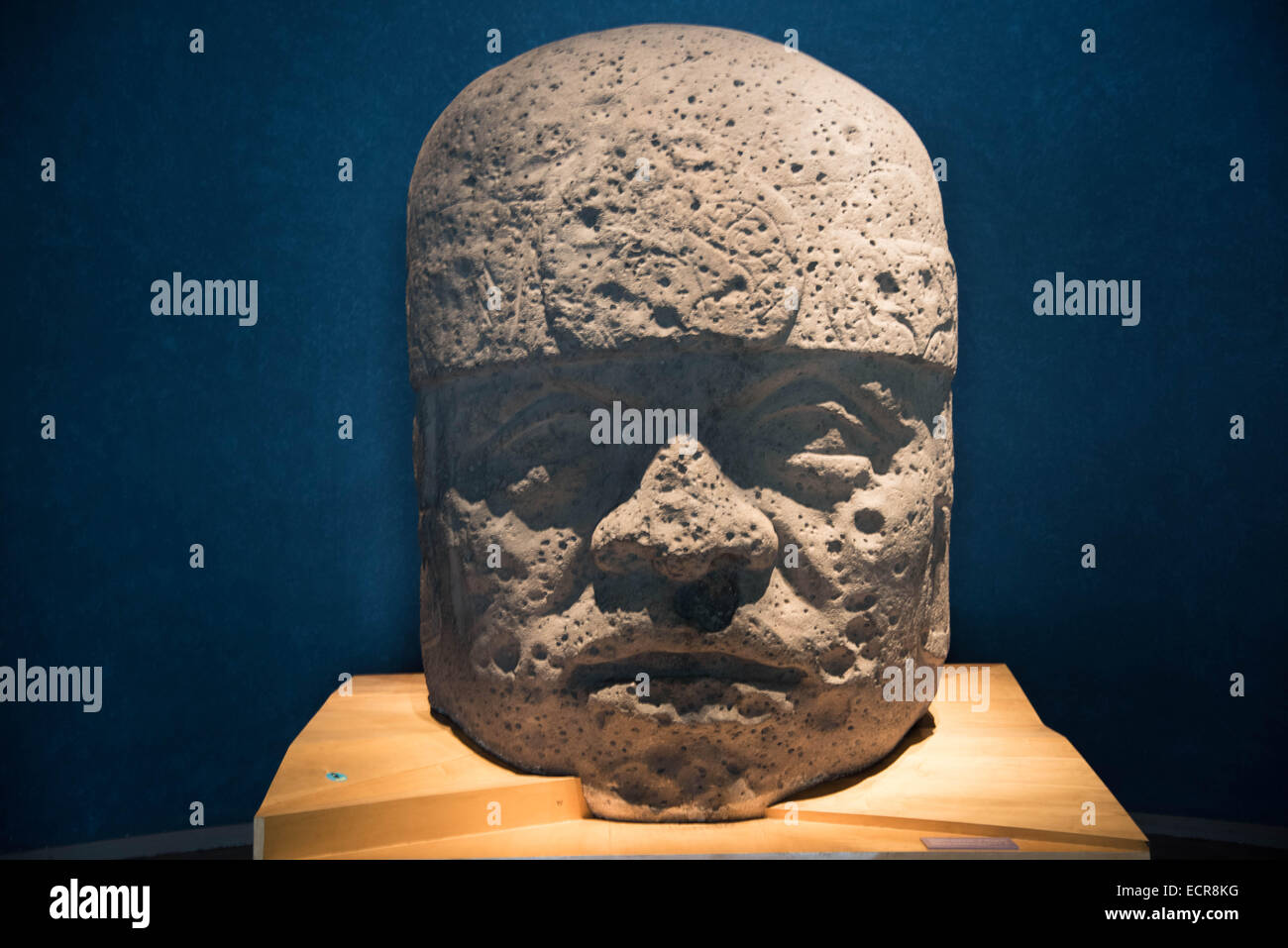 The National Museum of Anthropology,Mexico city,Mexico Olmec colossal head Stock Photo