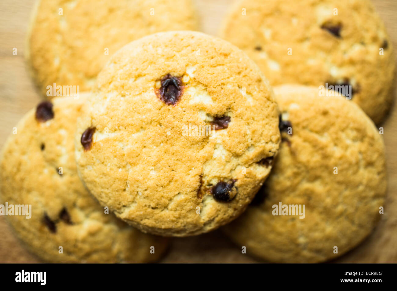 Shortbread cookies with raisins a few pieces on the table Stock Photo