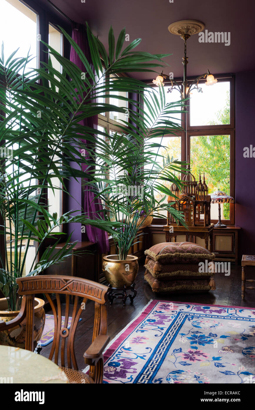 Palms potted in gold puts in purple drawing room with floral rug and