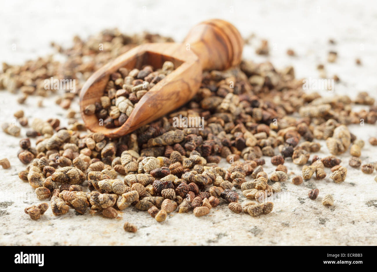 Cardamom seeds hires stock photography and images Alamy