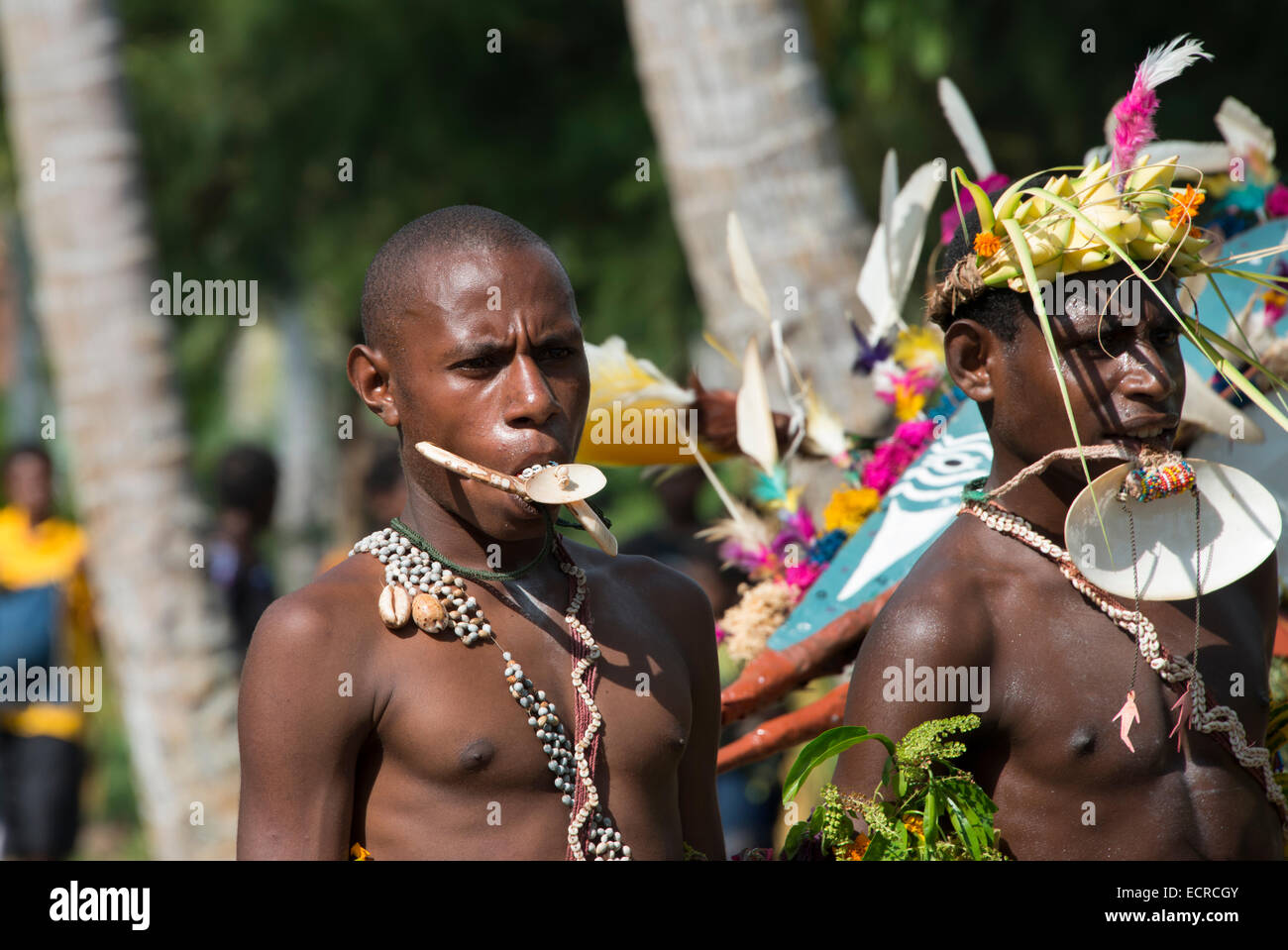 Melanesia, Papua New Guinea, Sepik River area, Murik Lakes, Karau ...