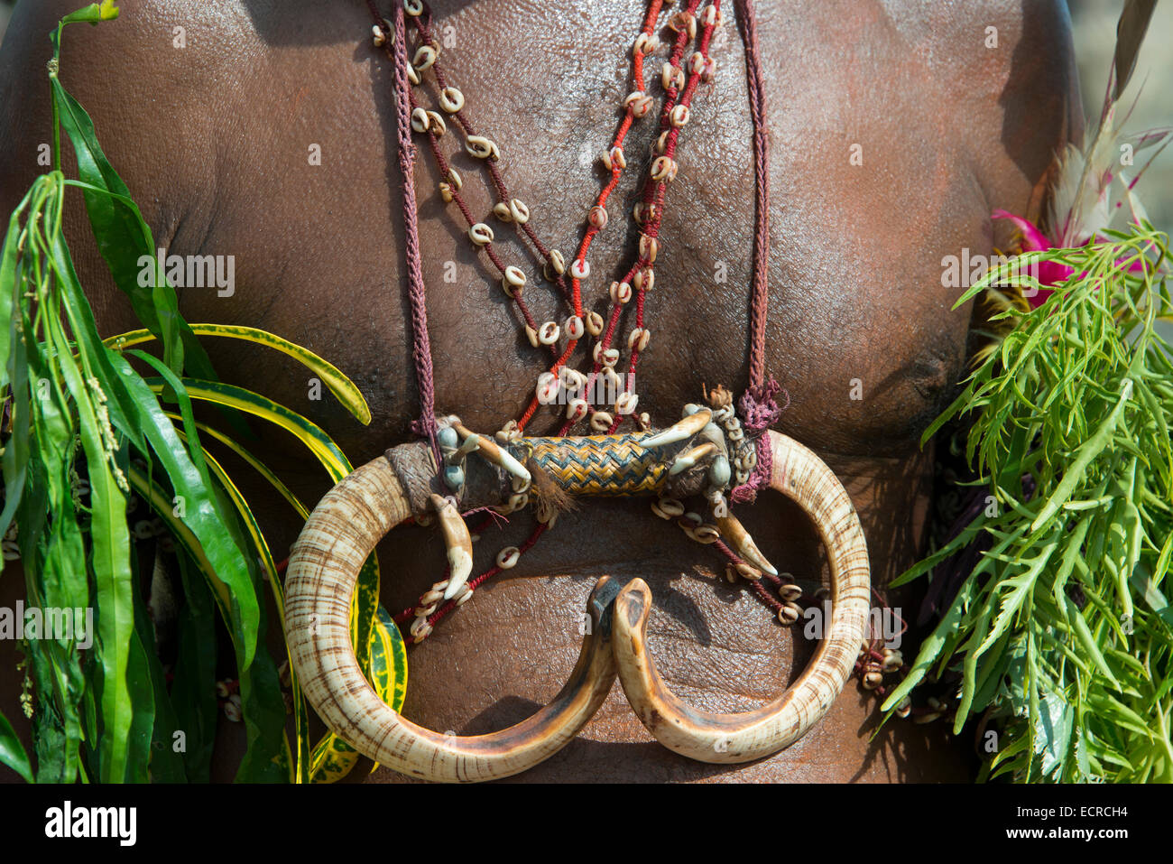 Boar tusk shop necklace for sale