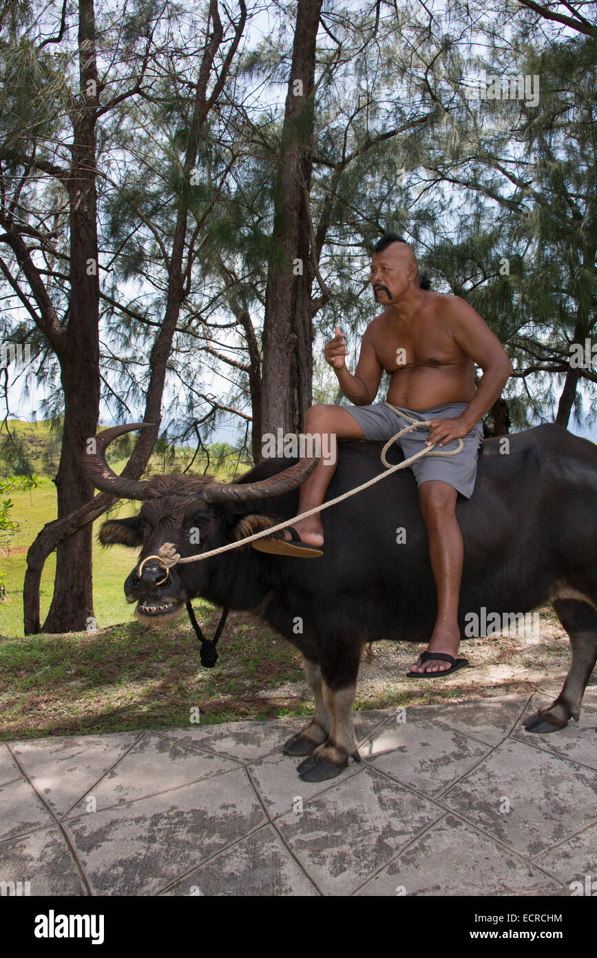 Ride water buffalo hires stock photography and images Alamy