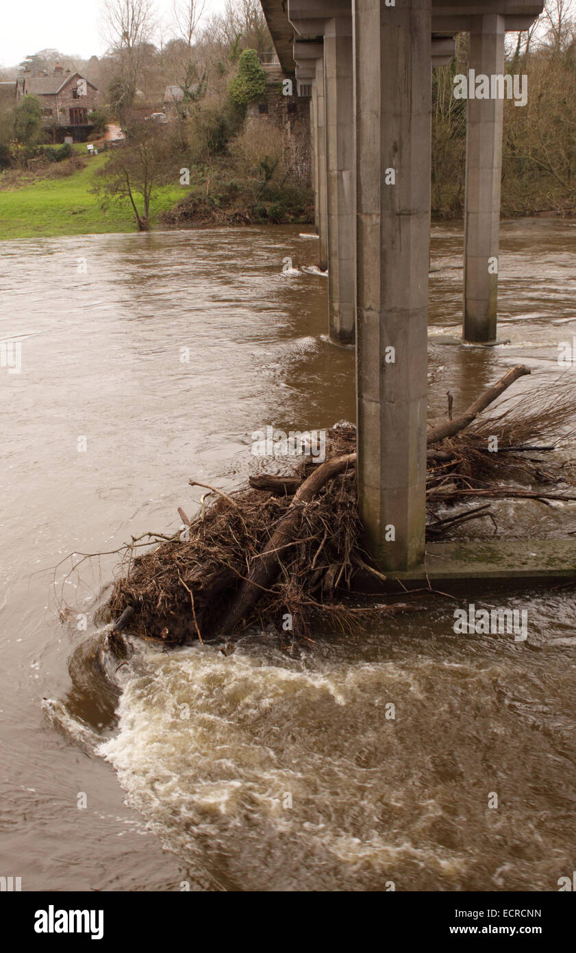 Hay-on-Wye, Powys, UK 18th December 2014 - The Environment Agency issued a Flood Alert for this section of the River Wye along the border between Wales and England after heavy rainfall over recent days. Tree debris is shown here trapped under the B4351 road bridge. Stock Photo