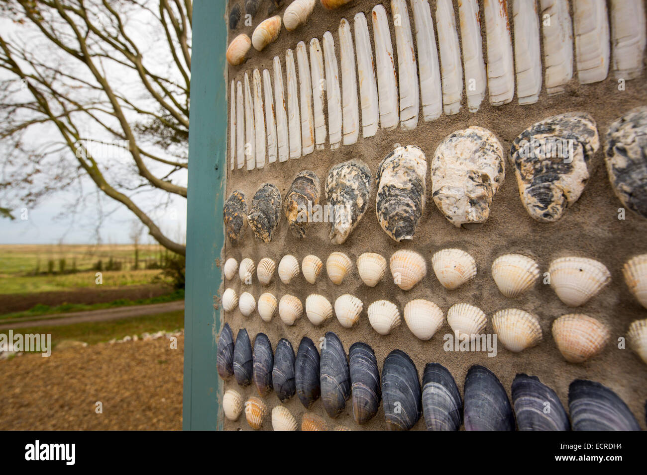 Sea shells used to decorate a wall at Wiveton Hall cafe, Blakeney