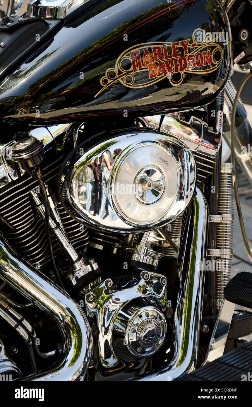harley 88ci motor