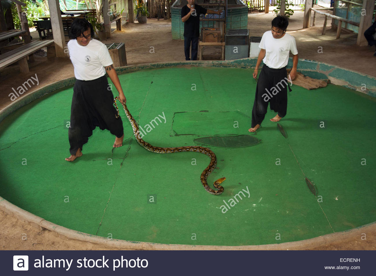 Snake Farm High Resolution Stock Photography and Images - Alamy