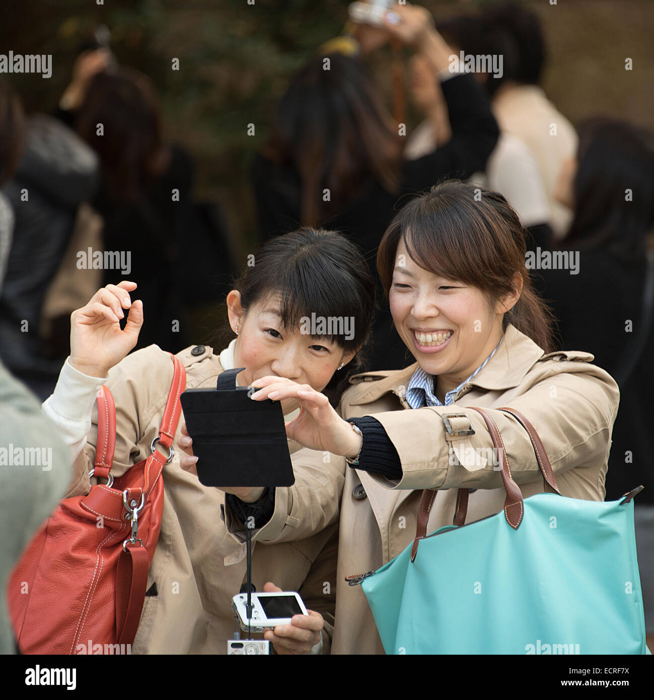 Japanese girls sharing a selfie, Kyoto, Japan. Stock Photo