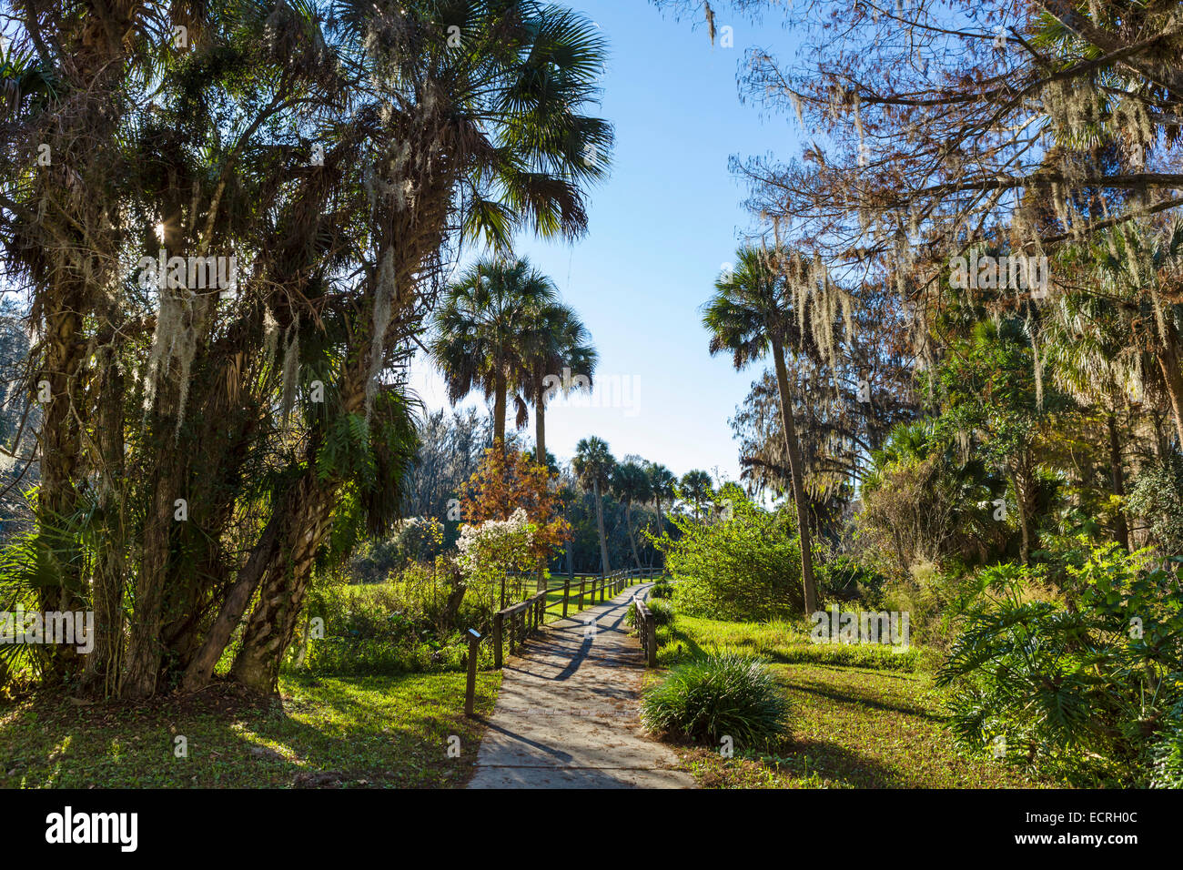 Path alongside the Silver River in Silver Springs State Park, near Ocala, Marion County, Florida, USA Stock Photo