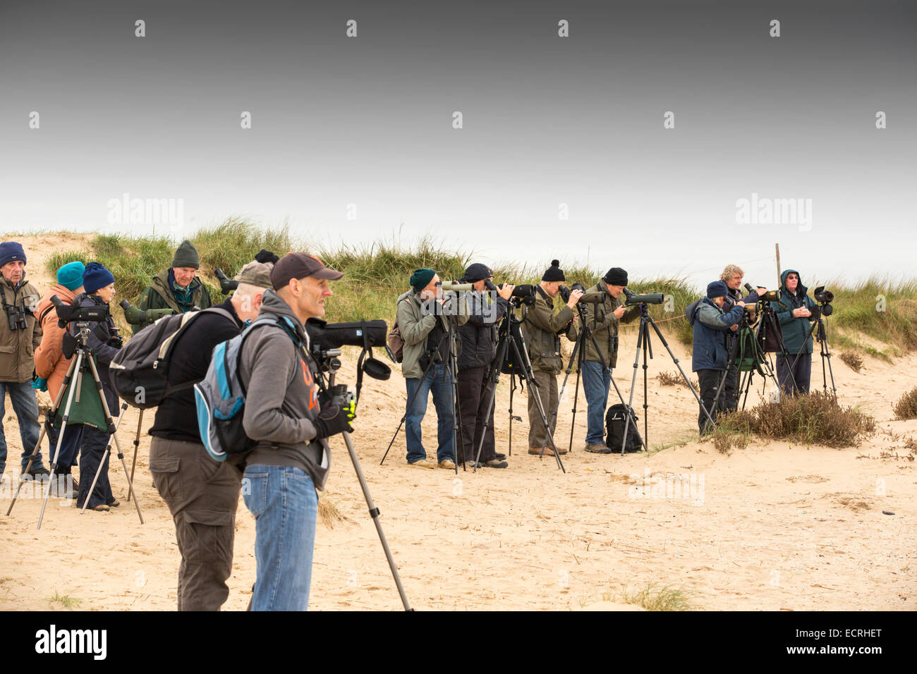 Birdwatchers using telescopes to sea watch at Titchwell on the North Norfolk coast, UK. Stock Photo