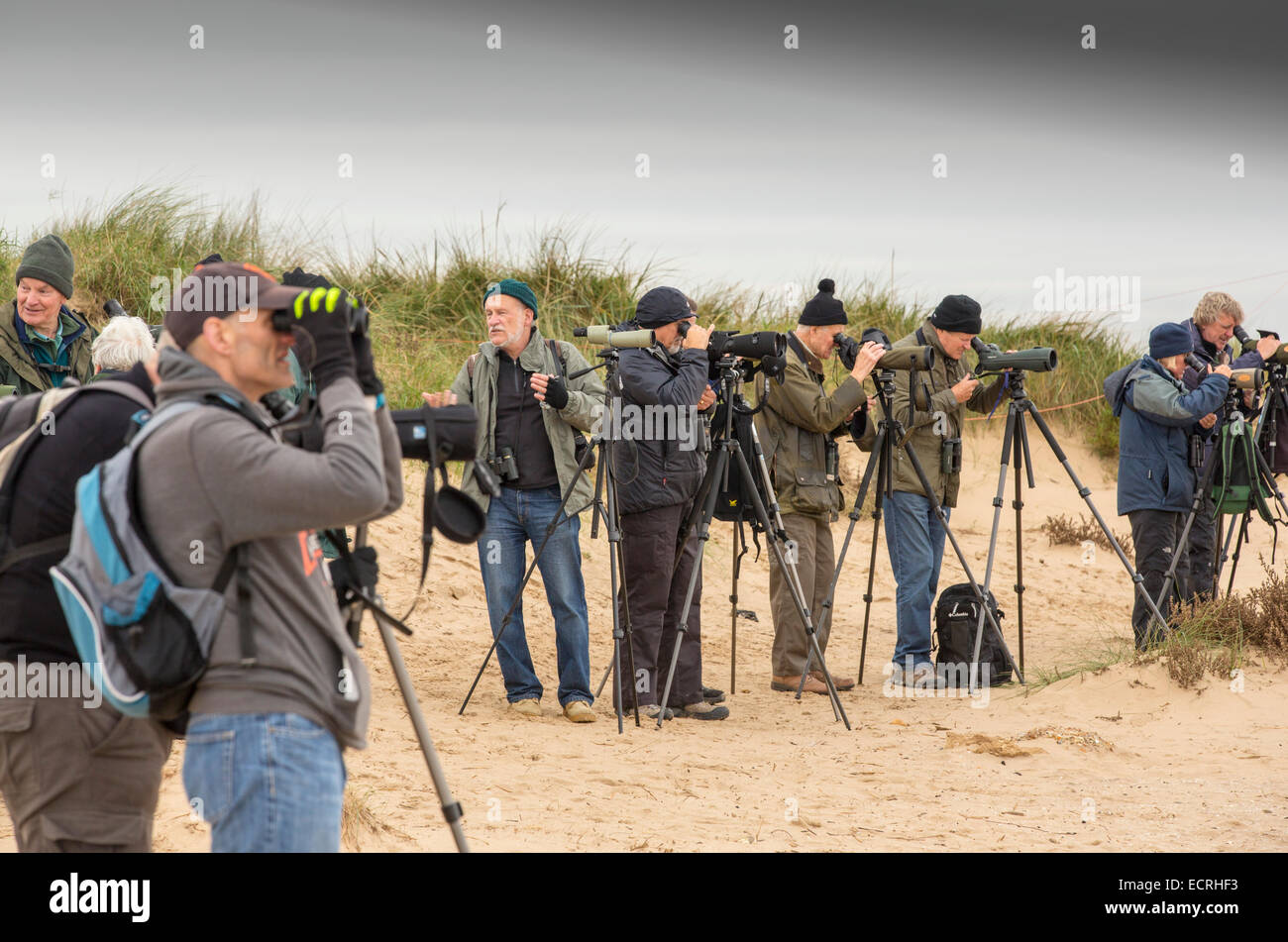 Birdwatchers using telescopes to sea watch at Titchwell on the North Norfolk coast, UK. Stock Photo