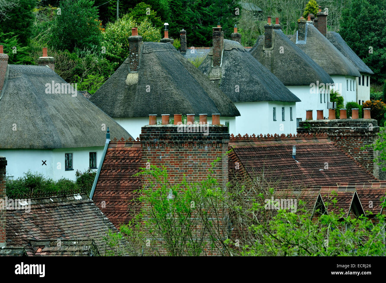 A view of Milton Abbas village Dorset UK Stock Photo