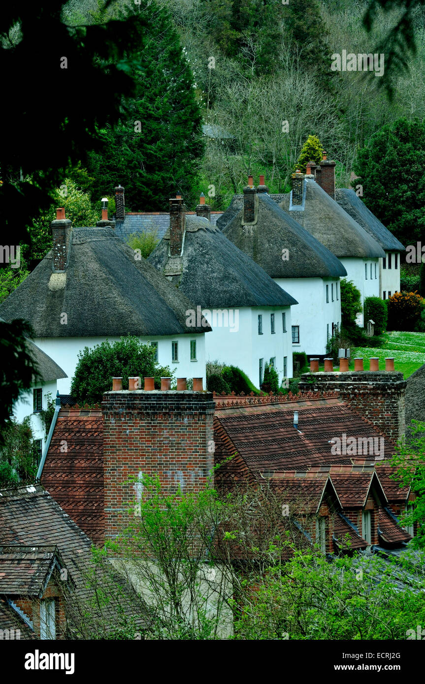 An unusual view of Milton Abbas village Dorset UK Stock Photo