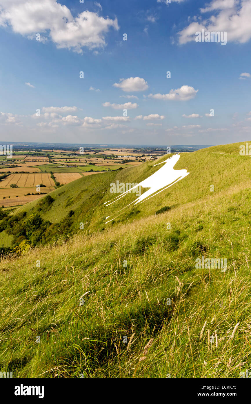 The Westbury White Horse Chalk Hill figure, on the edge of Salisbury Plain, Wiltshire, United Kingdom. Stock Photo