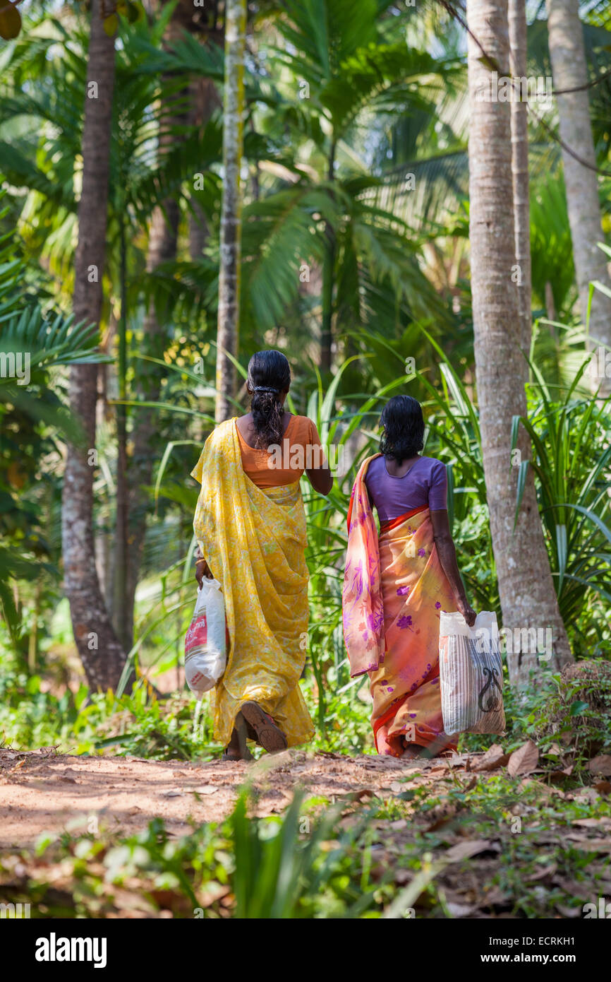 Kerala ladies hires stock photography and images Alamy