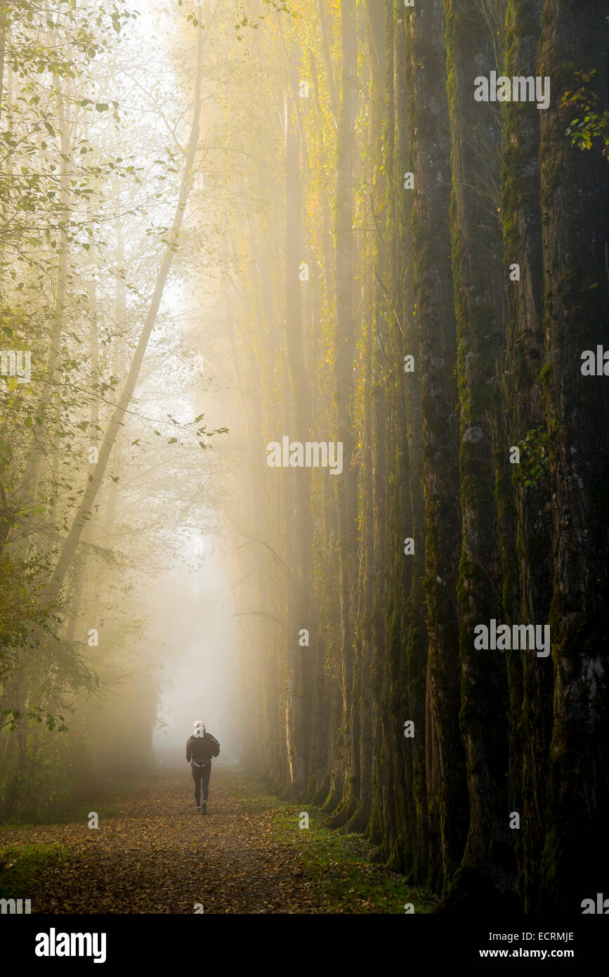 Jogger on path in fog, Burnaby Lake Regional Park, Burnaby, British Columbia, Canada Stock Photo