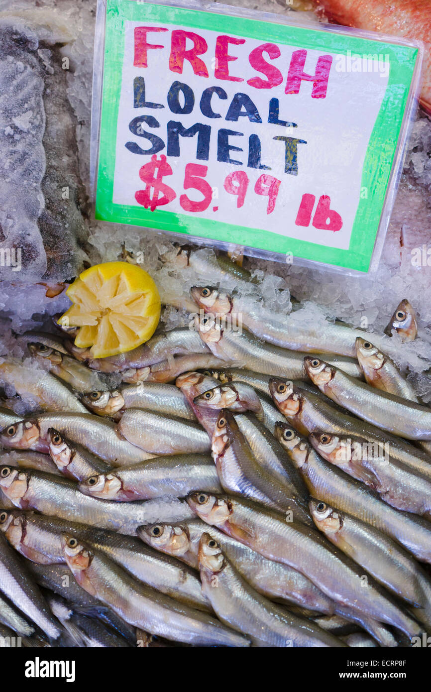 Fresh local smelt. Pike Place Market, Seattle, Washington, USA. Stock Photo