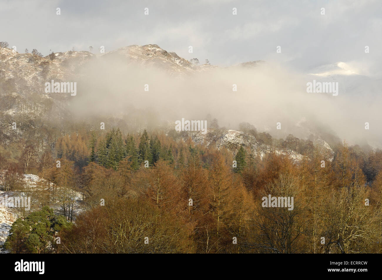Low clouds over woodlands in the Cumbrian Mountains, England Stock ...