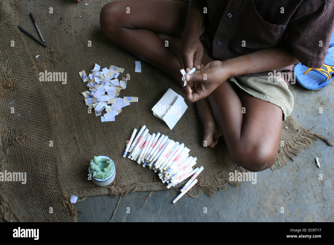 Bangladesh 8 may 2010. Child fill hand rolled cigarette (locally called a bidi) factory in Haragach. Workers have to labour from Stock Photo