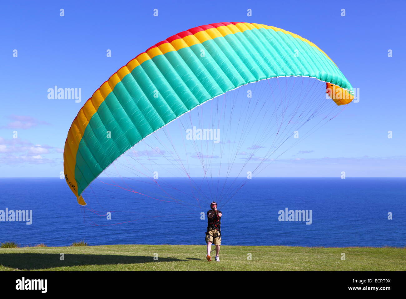 A man prepares his paraglider to lift off and soar over the Pacific Ocean off Bald Hill, New South Wales, Australia. Stock Photo