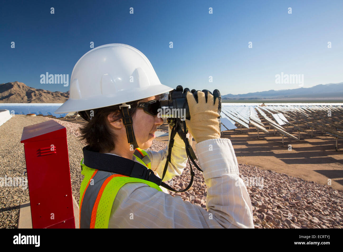A biologist checking for birds flying too close to the solar tower at Ivanpah, the world's largest solar thermal power station, Stock Photo