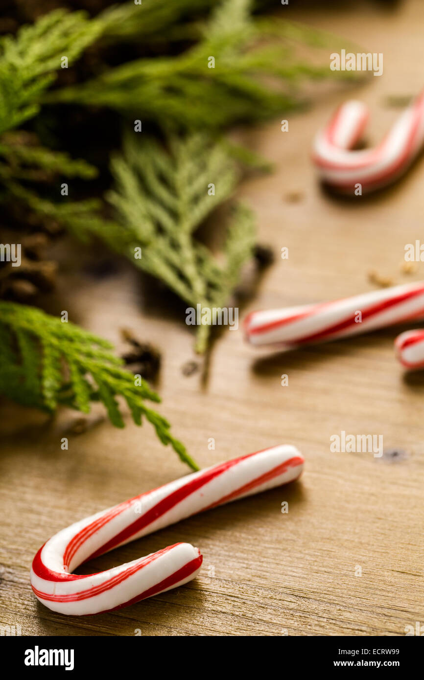 White and red candycanes on stained wood table. Stock Photo