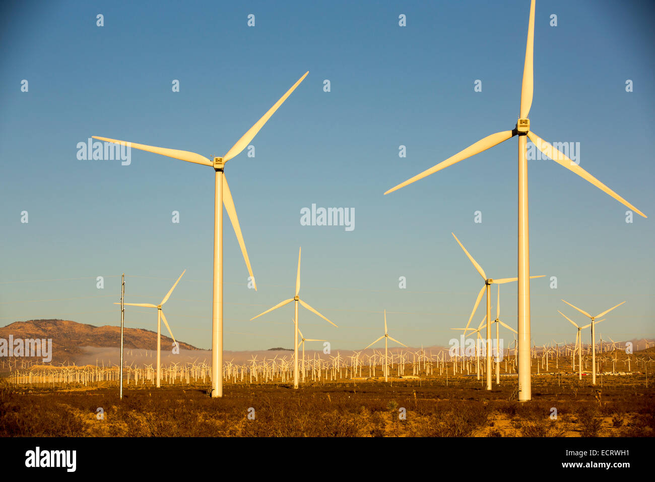 Part of the Tehachapi wind farm in California, USA Stock Photo Alamy