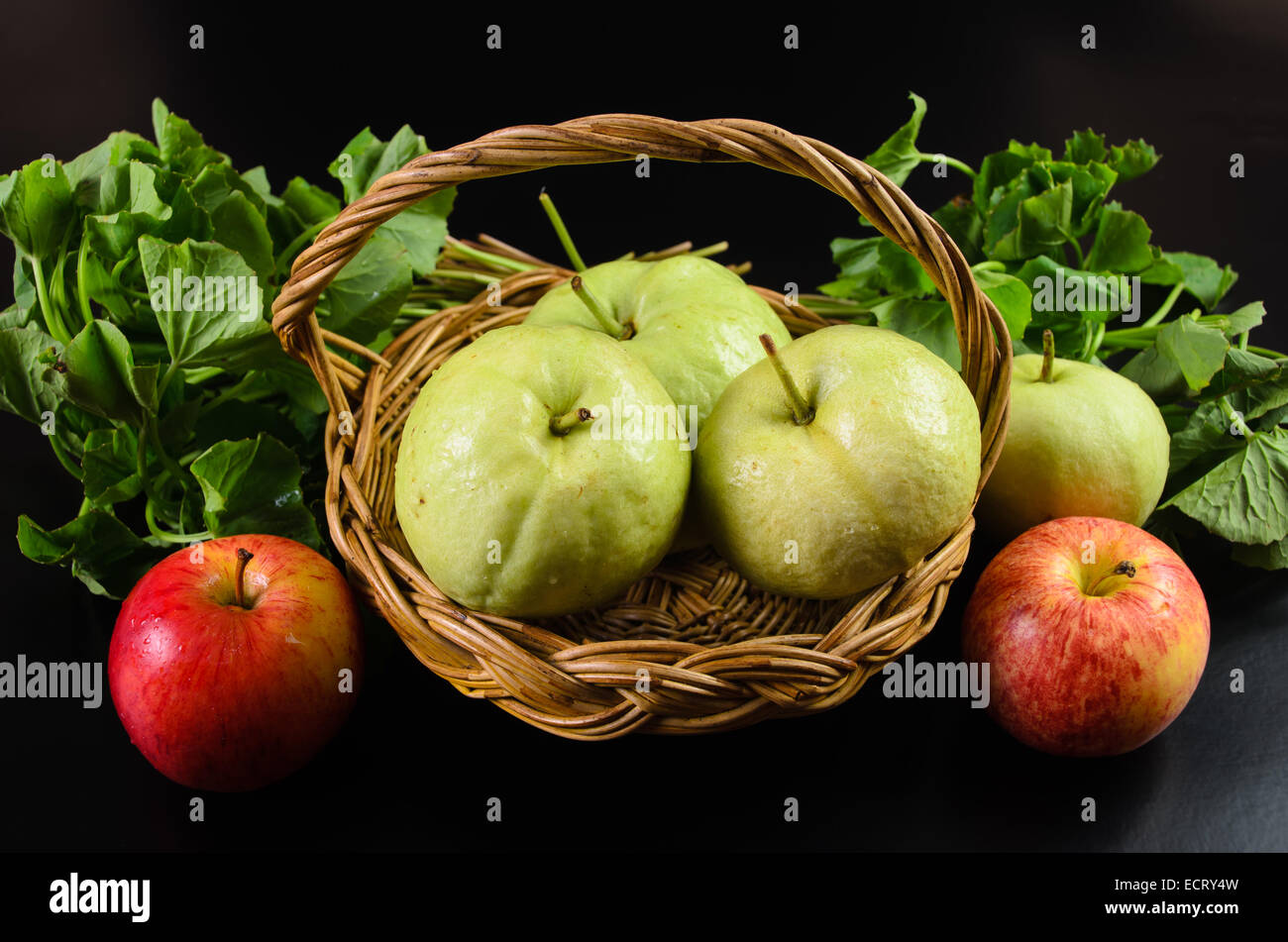 Guava and Asiatic in the basket on black background Stock Photo
