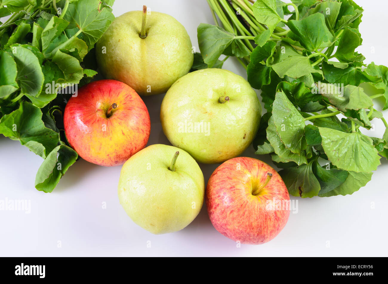 Fruits and vegetables are the food for energy Stock Photo