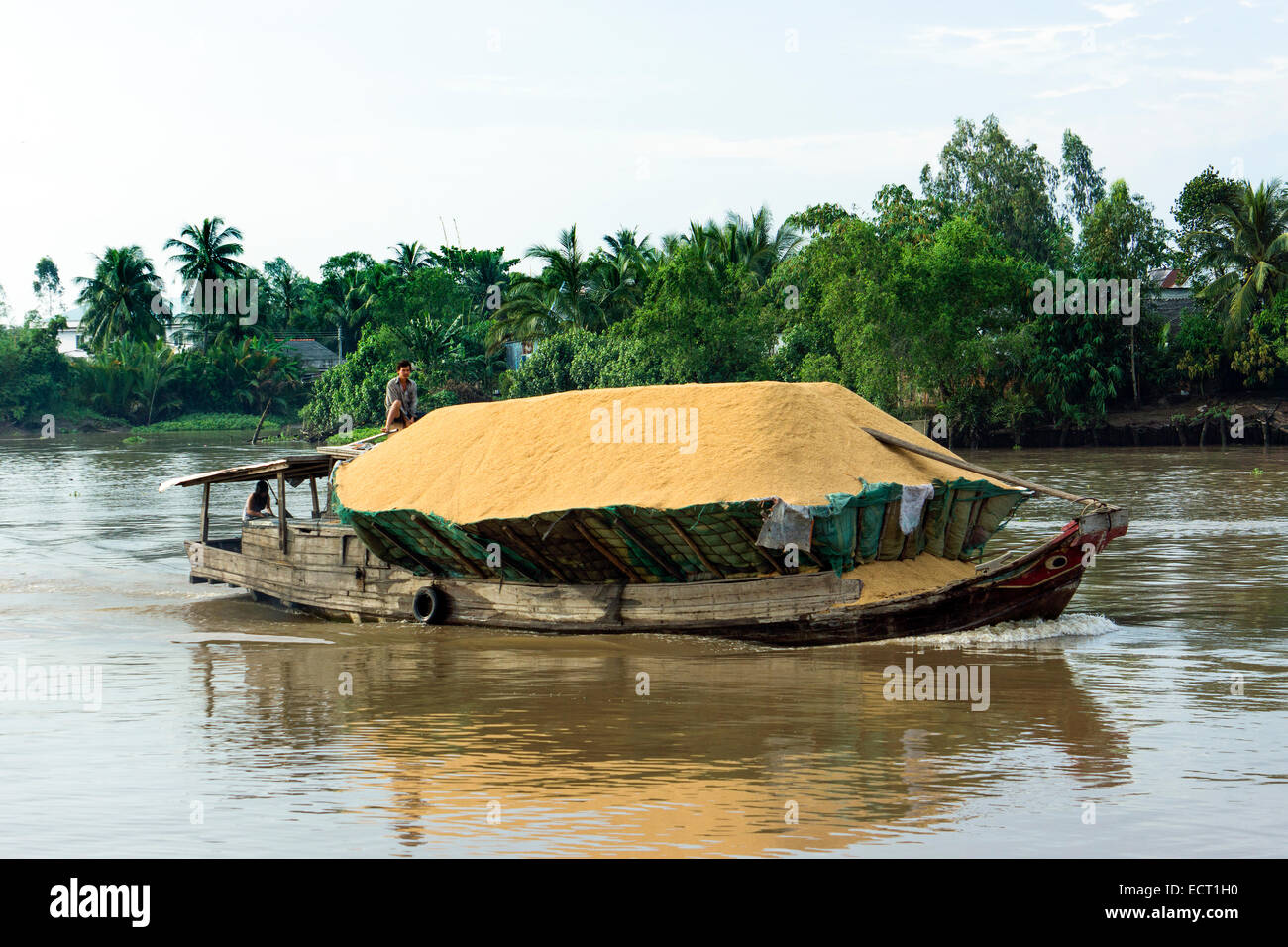 Vietnam  Nam Bo  Can Tho  shipping of rice at Mekong Delta Stock Photo