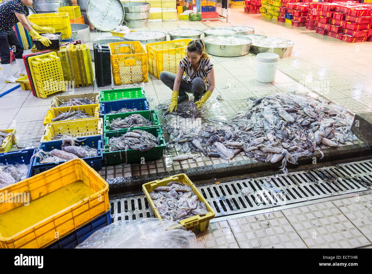 Vietnam  Saigon  female worker sorting squids at central market Stock Photo