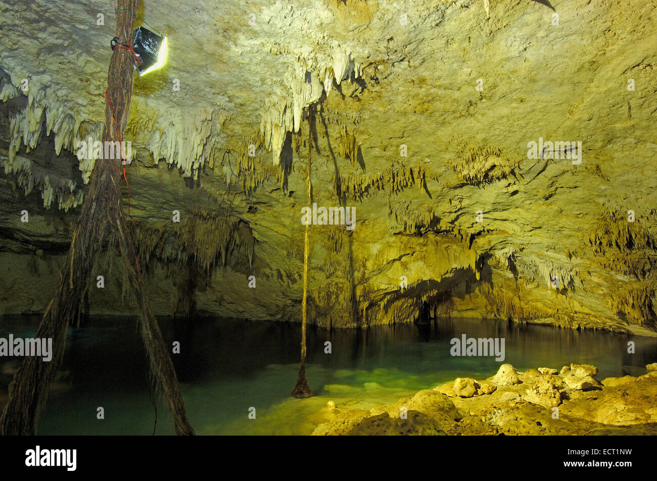 Cenote, Hidden Worlds Cenotes park, Tulum, Quintana Roo state, Mayan