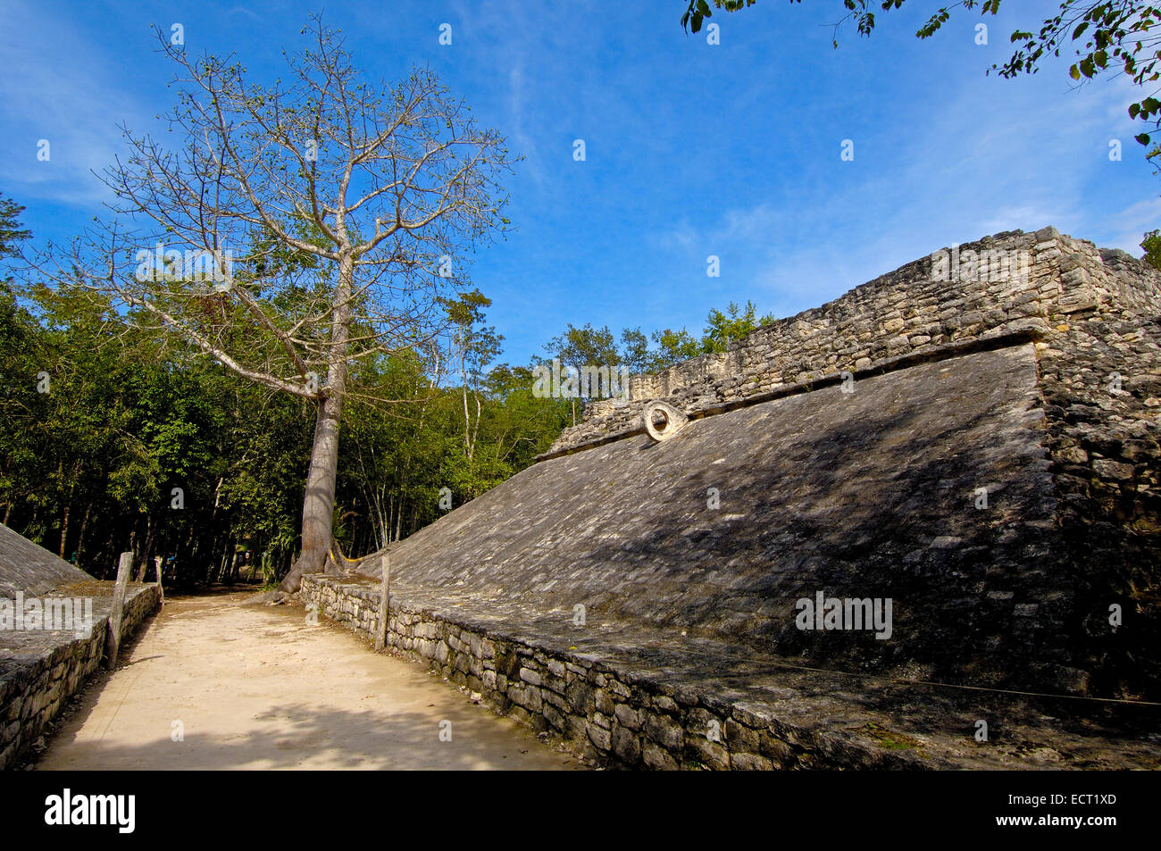 Ball court, Mayan ruins of Coba, Quintana Roo state, Mayan Riviera, Yucatan Peninsula, Mexico Stock Photo