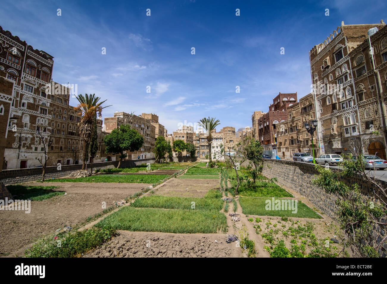 Traditional old houses in the old city of Sana'a, UNESCO World Heritage Site, Sana'a, Yemen Stock Photo