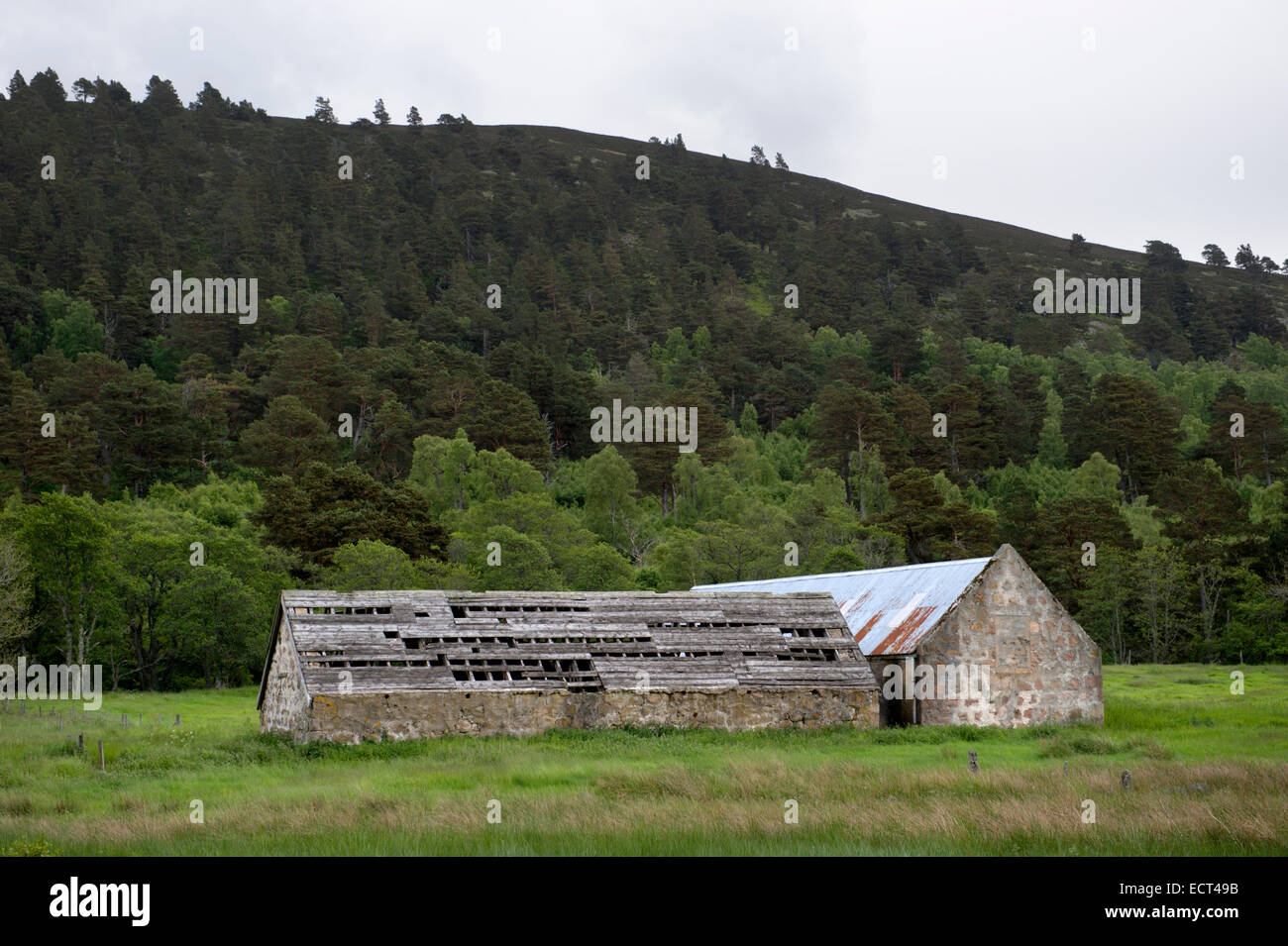Mill of Cosh now abandioned on the Glen Girnock walk from Littlemill to Bovaglie farm also unused near Balmoral and Ballater Stock Photo