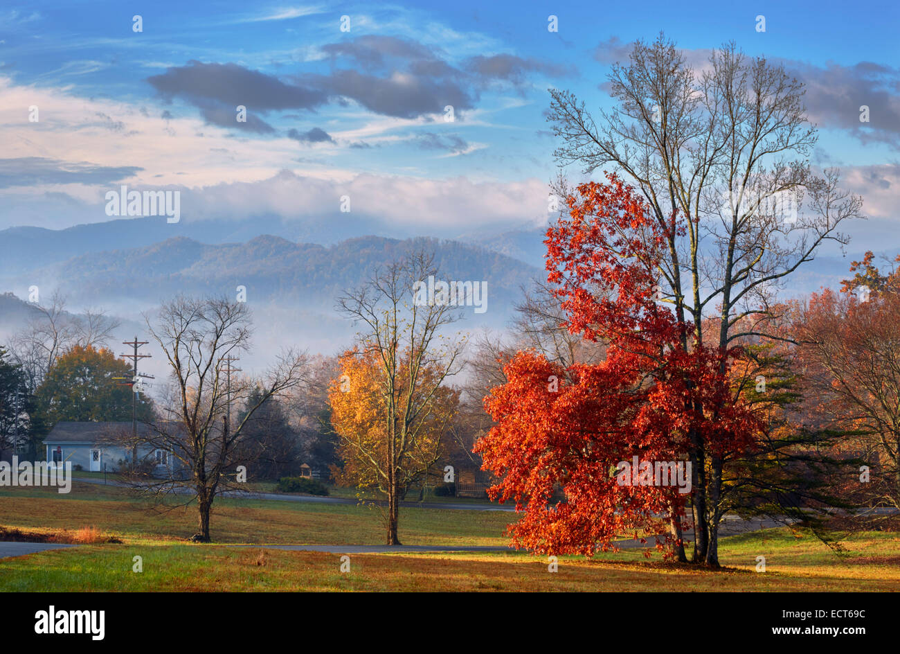 Autumnal trees in the gardens of the Mark Addy Inn with the Blue Ridge Mountains in distance. Nellysford, Virginia, USA. Stock Photo