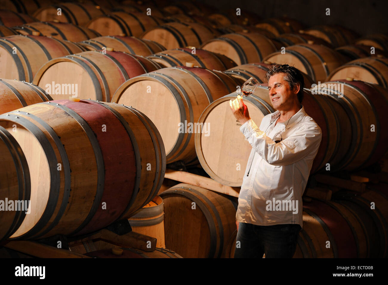 Tourism - Man tasting wine in a cellar-Winemaker Stock Photo