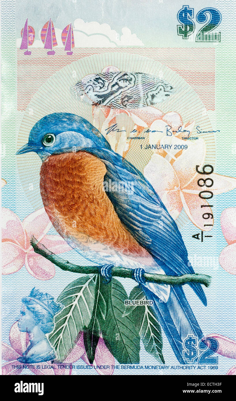 Bermuda 2 Two Dollar Bank Note Stock Photo - Alamy