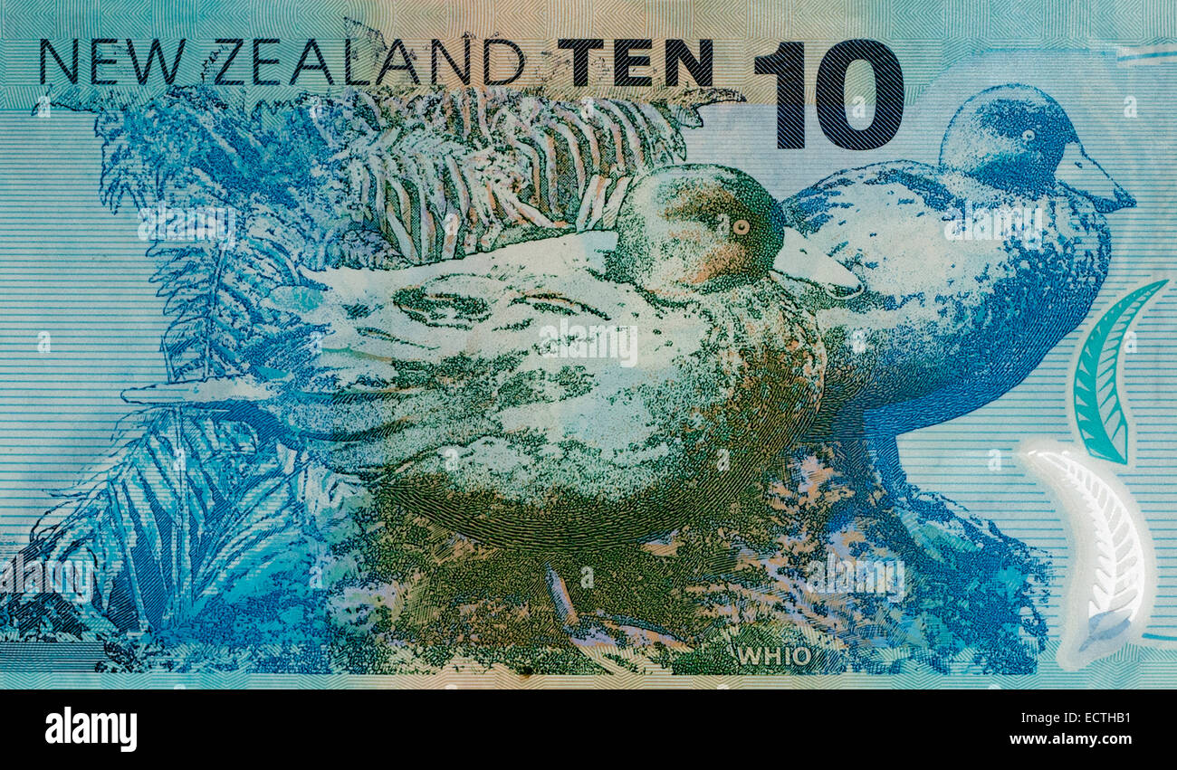 New Zealand 10 Ten Dollar Bank Note Stock Photo