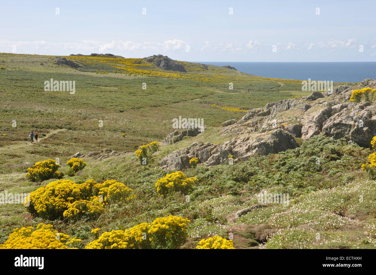 Skomer Island off the coast of Pembrokeshire in southwestern Wales Stock Photo