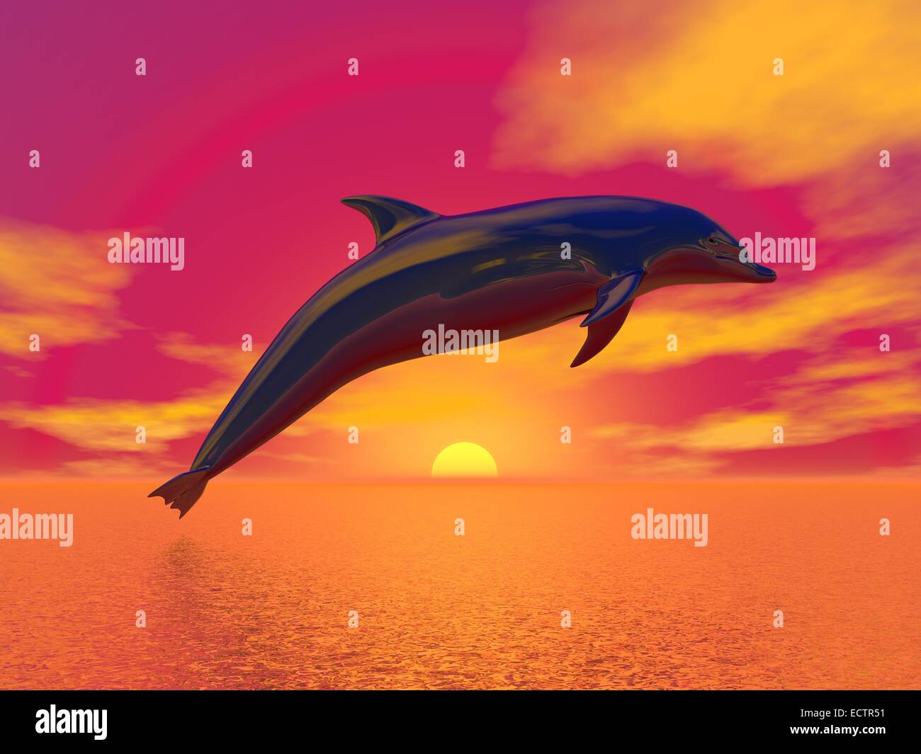 Dolphin jumping upon the ocean by beautiful red sunset Stock Photo - Alamy