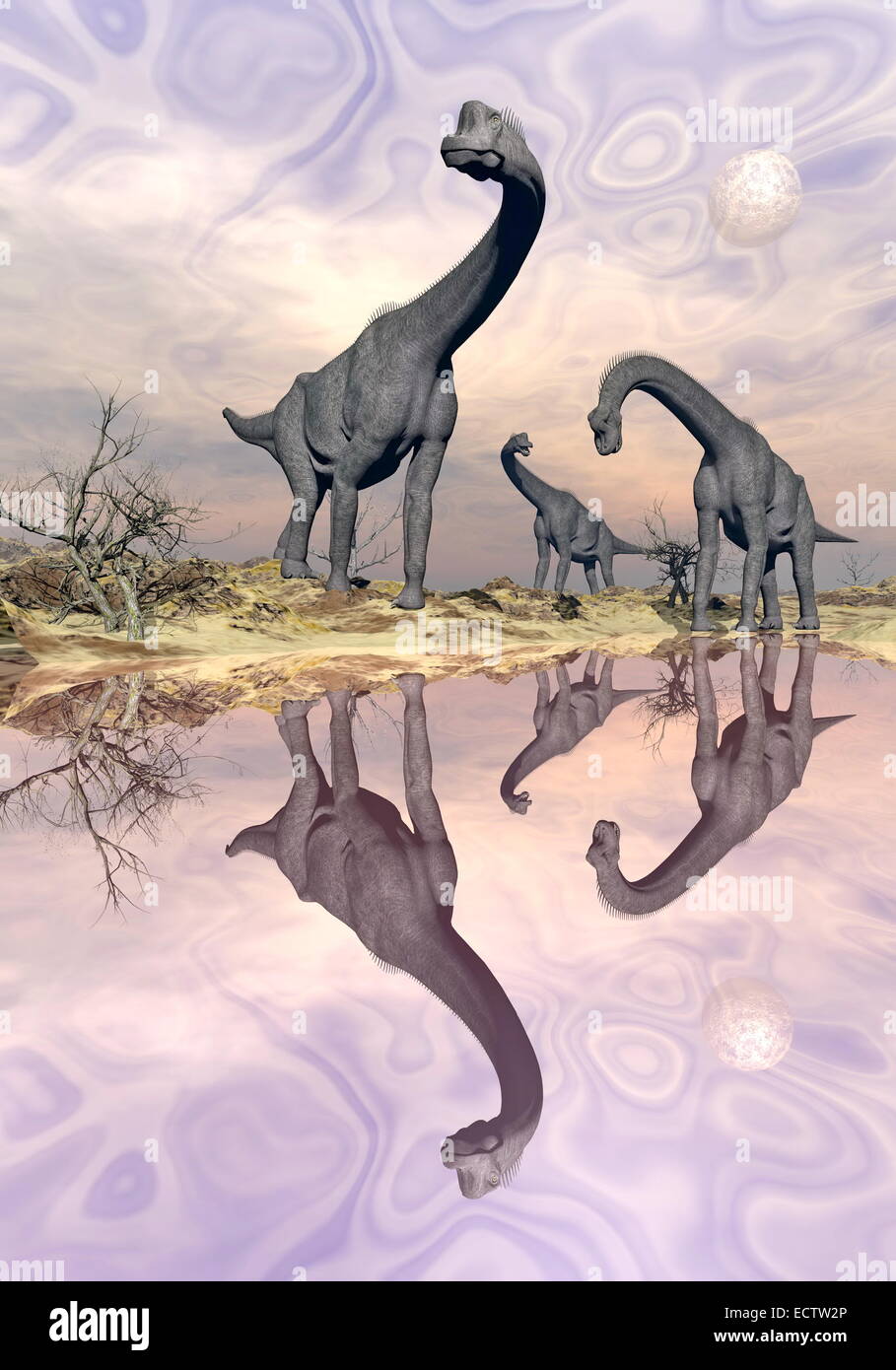 Three brachiosaurus dinosaurs in desert near water with reflection by sunset and full moon Stock Photo