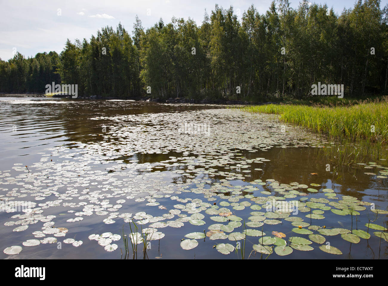 rautavesi lake, vammala village, finland, europe Stock Photo
