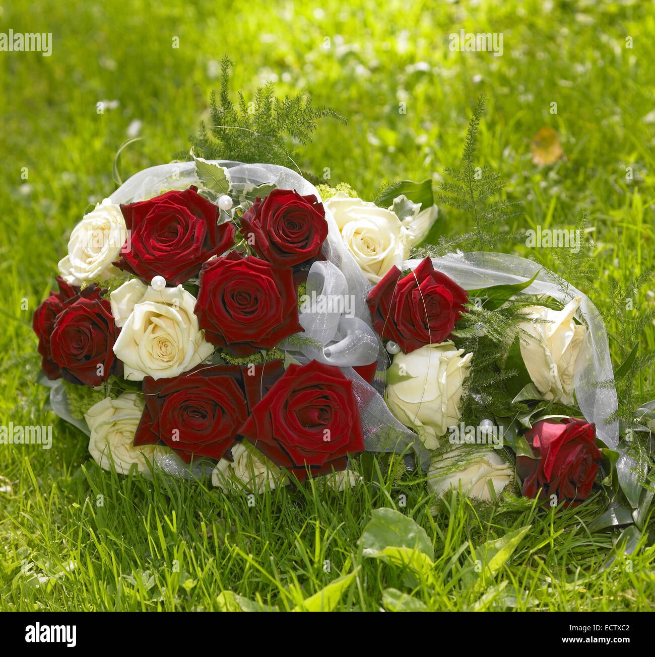 a bride bouquet with red and white rose flowers in sunny grass ambiance