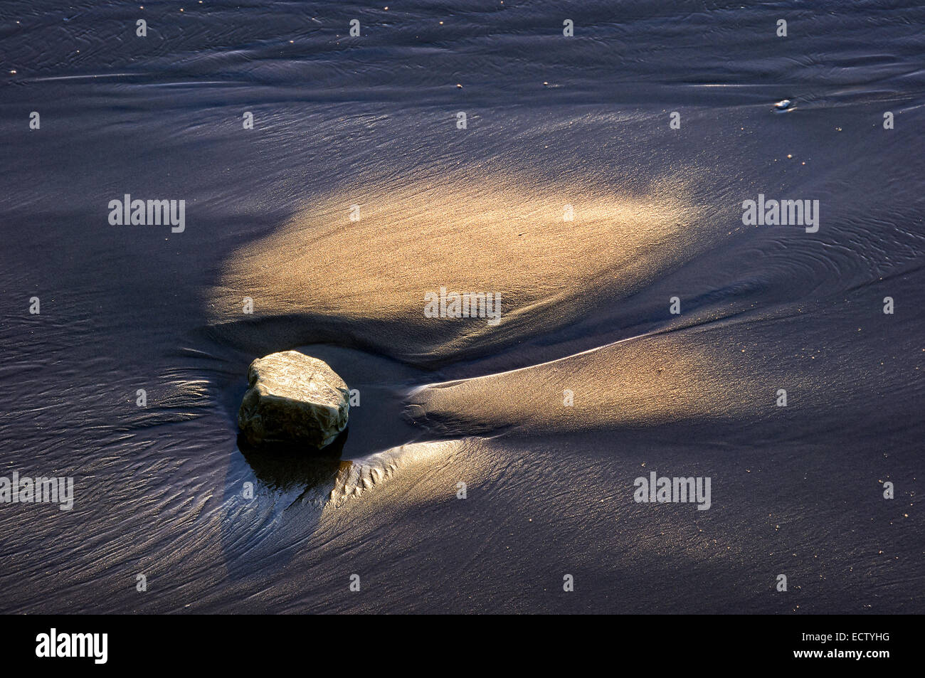 stone on the shore with sand texture Stock Photo