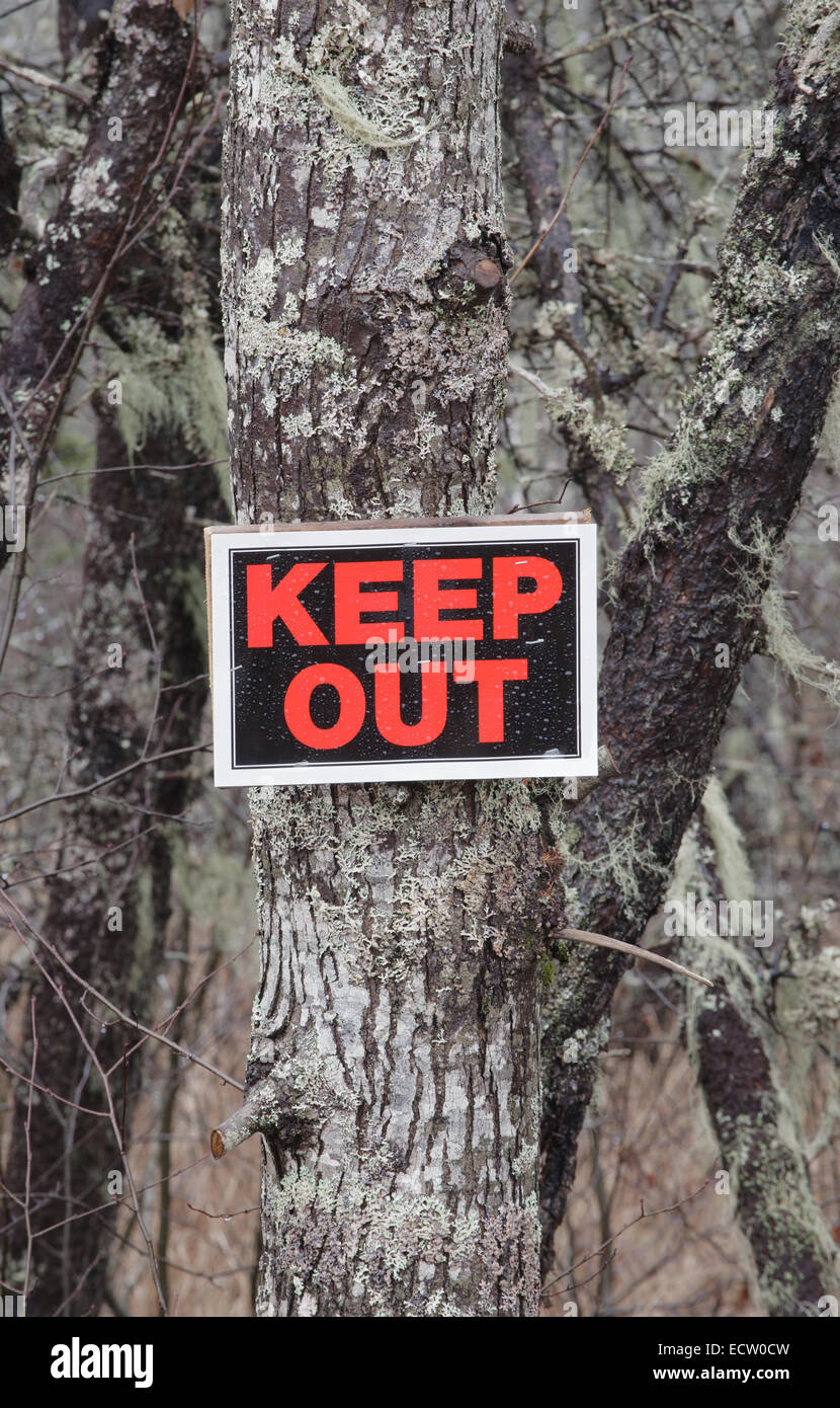 Keep Out sign on tree in wooded area. Stock Photo