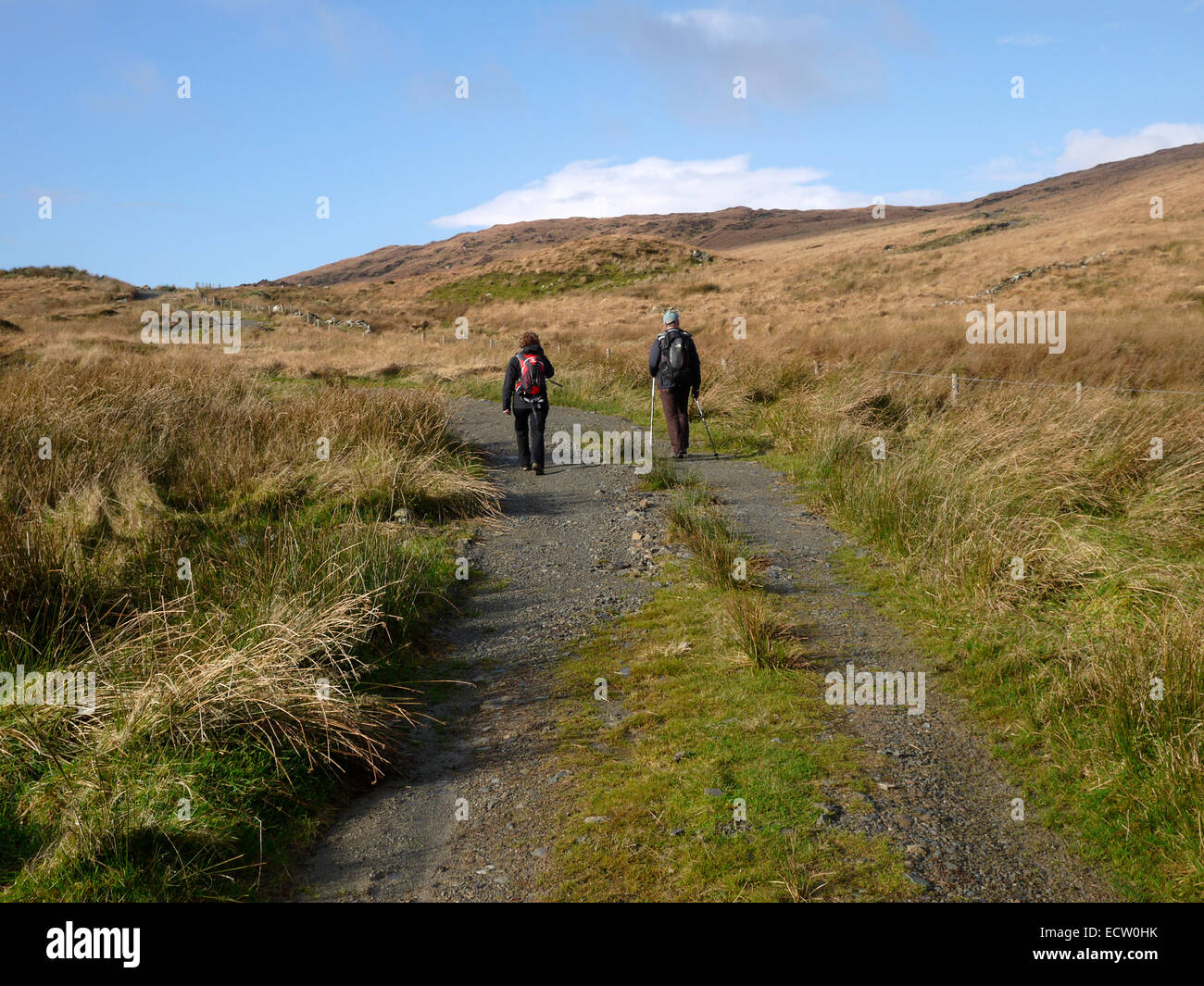 Walkers on the Mullaghmesha Loop walk, County Cork, Ireland Stock Photo