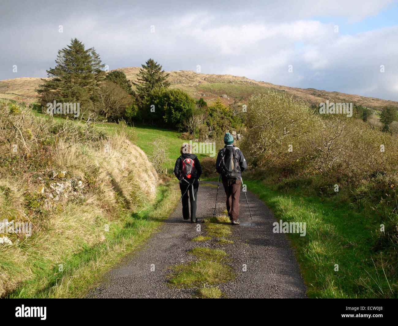 Two walkers on a country lane near Castledonovan. Near Drimoleague